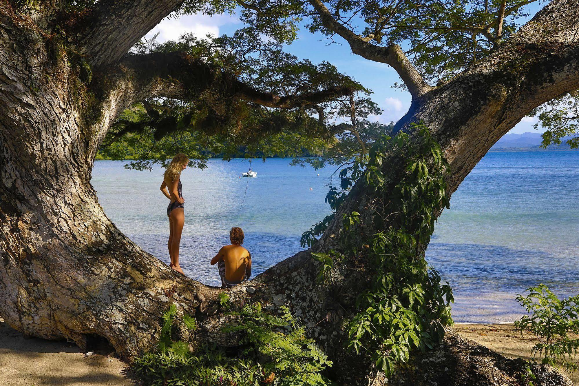 Sau Bay Resort - Off Taveuni Na Sau Bay エクステリア 写真